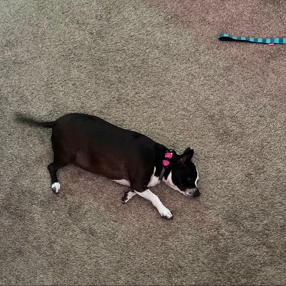 Meet your Posher, A - Picture 1 of 1